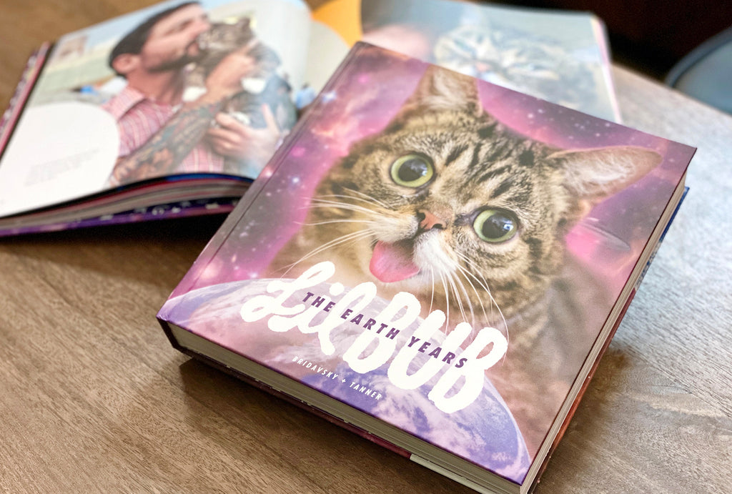 Lil BUB: The Earth Years is OUT NOW! Watch Aesop Rock's tribute.
